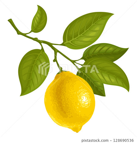 Lemon On The Branch 128690536