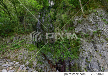 [Kyushu, Miyazaki] Takachiho Gorge was created by volcanic activity at Mount Aso. It is a beautiful gorge with eroded cliffs and Manai Falls. 128690609