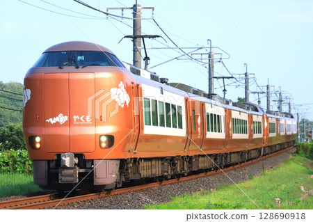 Yakumo Express Train, Series 273 128690918
