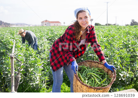 Female farmer collecting beans in a basket on field Female farmer collecting beans in a basket on field 128691039