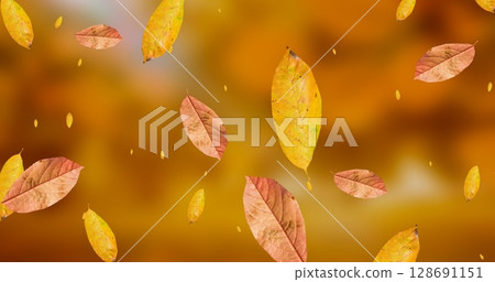 Image of leaves icons over blurred background 128691151