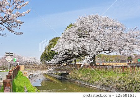 請參閱沼稻田和見沼台灌溉渠道東緣 - 總神院橋 128691613