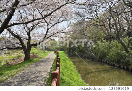 請參閱沼稻田和見沼台灌溉渠道的東部邊緣：綠色信託保護區 1 號 128691619