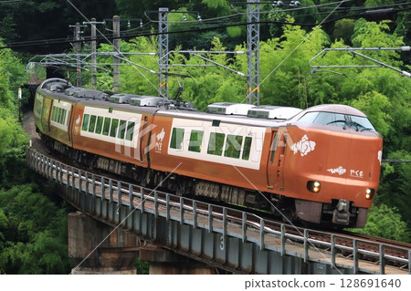 The Yakumo 273 series express train running through mountainous areas 128691640