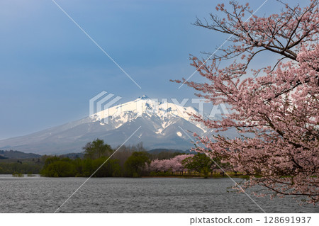 位於青森縣北津輕郡鶴田町的三拱木橋「鶴之舞橋」對面,可欣賞到岩木山和富士見湖公園的櫻花 位於青森縣北津輕郡鶴田町的三拱木橋「鶴之舞橋」對面,可欣賞到岩木山和富士見湖公園的櫻花 128691937