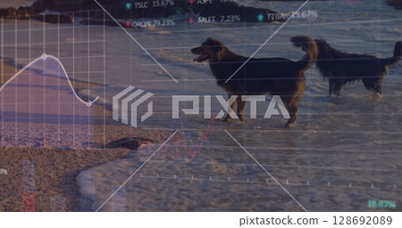 Image of data processing over dogs at beach 128692089
