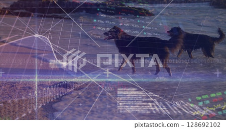 Image of data processing over dogs at beach Image of data processing over dogs at beach 128692102