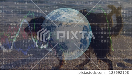 Image of data processing and globe over dogs at beach 128692108