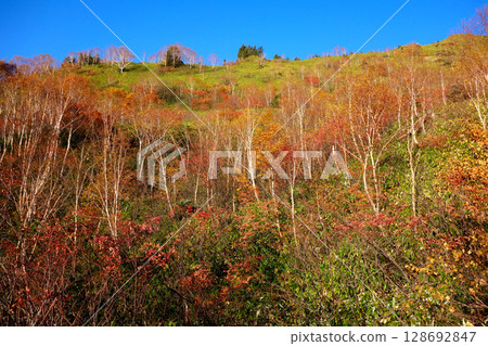 Mt. Nasu where autumn leaves have begun Mt. Nasu where autumn leaves have begun 128692847