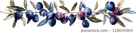 Watercolor Olive Branch Ripe Purple Blue Olives 128693004