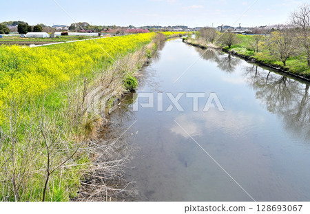 Minuma rice fields and the Shiba River, a first-class river 128693067