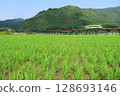 Nishikigawa Railway running through the countryside 128693146