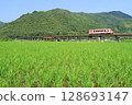 Nishikigawa Railway running through the countryside 128693147