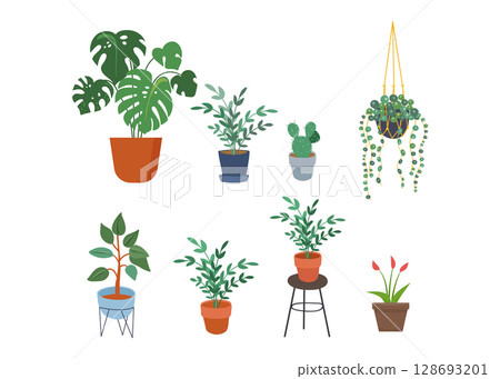 Houseplants for interior home decoration, green plant in flowerpot stock illustration Houseplants for interior home decoration, green plant in flowerpot stock illustration 128693201