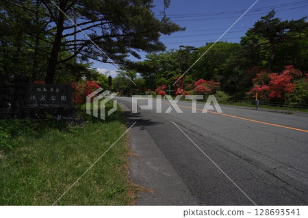 Yamatsutsuji in full bloom near Yaseone Pass, Haruna Highlands, Gunma Prefecture, May 28, 2025 128693541