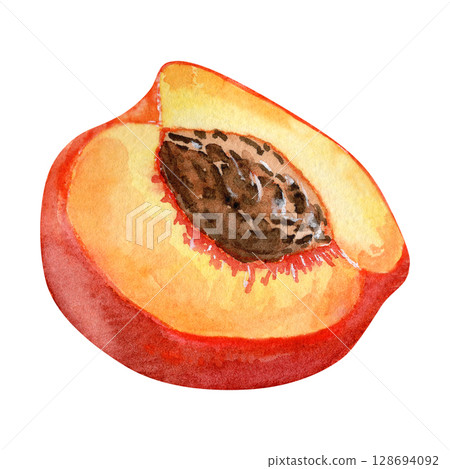 Watercolor half peach with pit illustration. Fresh juicy fruit cut in half. Botanical fruit clipart Watercolor half peach with pit illustration. Fresh juicy fruit cut in half. Botanical fruit clipart 128694092