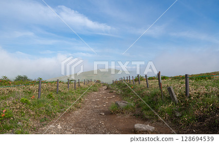 Refreshing plateau Kirigamine plateau Refreshing plateau Kirigamine plateau 128694539