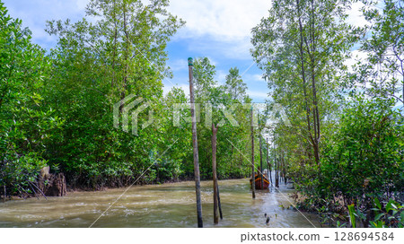 Flooded Mangrove Forest with Wooden Poles and Small Fishing Boat in Background Flooded Mangrove Forest with Wooden Poles and Small Fishing Boat in Background 128694584