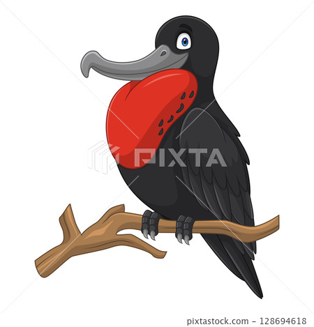 Cartoon frigatebird isolated on white background 128694618