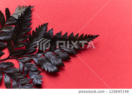 Leaves on a red background 128695146