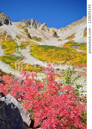 Kaoru Serizawa's Autumn Leaves and Hotaka Mountain Kaoru Serizawa's Autumn Leaves and Hotaka Mountain 128695245