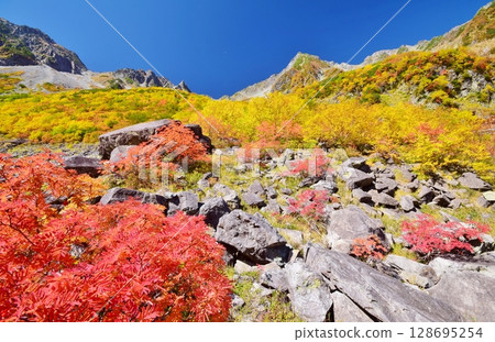 Kaoru Serizawa's Autumn Leaves and Hotaka Mountain 128695254