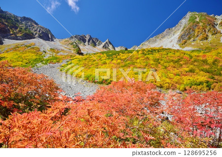 Kaoru Serizawa's Autumn Leaves and Hotaka Mountain 128695256