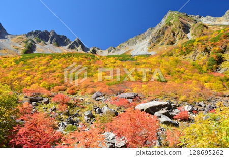 Kaoru Serizawa的秋葉和穗高山峰 128695262