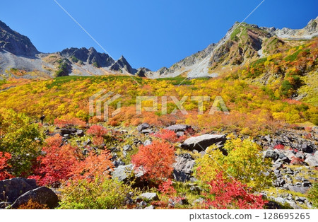 Kaoru Serizawa's Autumn Leaves and Hotaka Mountain 128695265