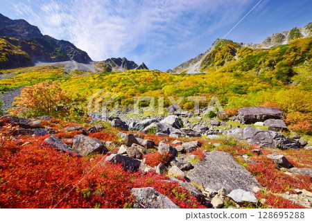 Kaoru Serizawa's Autumn Leaves and Hotaka Mountain 128695288