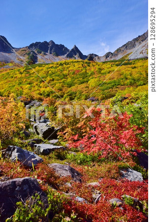 Kaoru Serizawa's Autumn Leaves and Hotaka Mountain 128695294