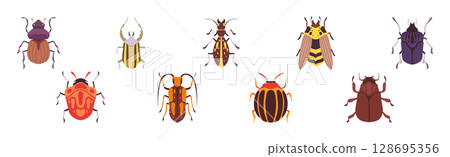 Insect Bugs and Beetle with Antenna and Multiple Legs Vector Set 128695356