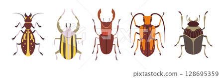 Insect Bugs and Beetle with Antenna and Multiple Legs Vector Set Insect Bugs and Beetle with Antenna and Multiple Legs Vector Set 128695359
