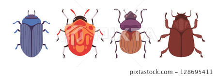 Insect Bugs and Beetle with Antenna and Multiple Legs Vector Set 128695411
