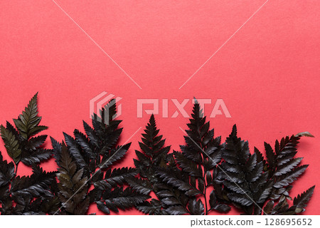 Leaves on a red background Leaves on a red background 128695652