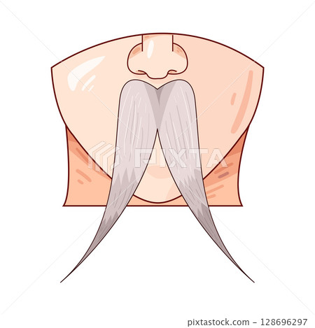 illustration of white mustache illustration of white mustache 128696297