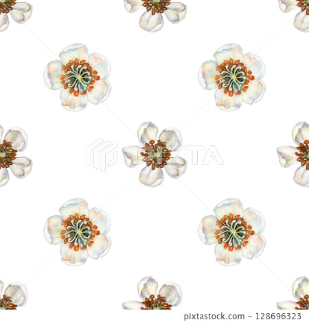 Seamless floral pattern with white flowers of kiwi on white background. Watercolor hand drawn design for juices, cocktails, jams, preserves, drinks, food, wallpapers, children's, kitchen textiles 128696323