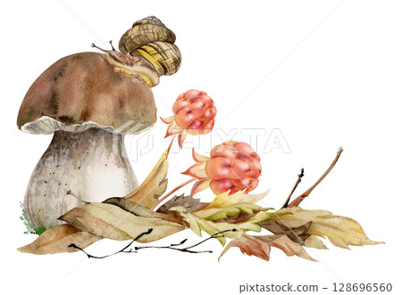 Bolete cep mushroom with snail on top of fallen autumn leaves pile, cloudberry berries twigs. Fungus forest harvest. Illustration hand drawn in watercolor. Seasonal planner stickers, menu cookbook Bolete cep mushroom with snail on top of fallen autumn leaves pile, cloudberry berries twigs. Fungus forest harvest. Illustration hand drawn in watercolor. Seasonal planner stickers, menu cookbook 128696560