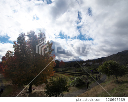 Autumn leaves in a rural area and blue sky peeking through the clouds Autumn leaves in a rural area and blue sky peeking through the clouds 128697689