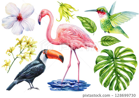 Tropical watercolor clipart with flamingo toucan hummingbird orchid hibiscus and green jungle leaves for summer design Tropical watercolor clipart with flamingo toucan hummingbird orchid hibiscus and green jungle leaves for summer design 128699730