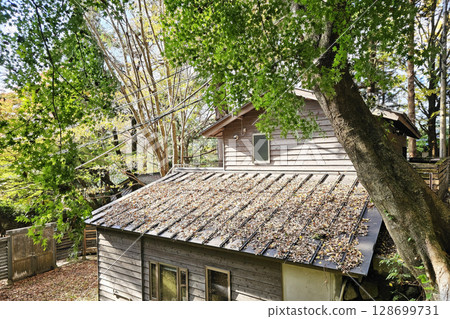 Dried Leaves on the Roof, Suitable for House Problems and Solutions. Dried Leaves on the Roof, Suitable for House Problems and Solutions. 128699731
