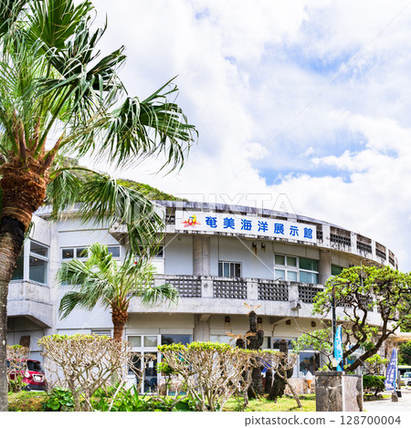 奄美海洋展示館是大浜海濱公園內的旅遊景點。 [奄美的旅遊景點] 128700004