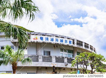 The Amami Marine Exhibition Hall is a tourist spot in Ohama Seaside Park. [Tourist attractions in Amami] 128700005