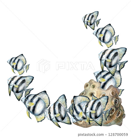 Corner semicircle border of black-white striped tropical fish, beige sponge coral. Watercolor underwater life template on white background for sea design, diving, scrapbooking, stickers, textile. 128700059