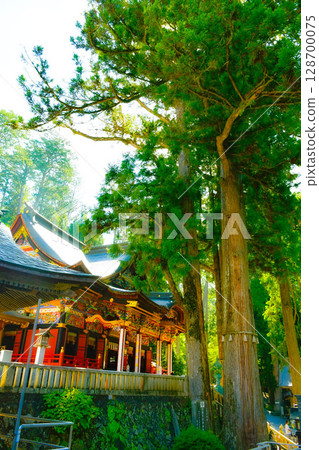 Power spot of Mitsumine Shrine 128700075