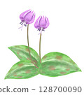 犬齒紫羅蘭花（水彩風格） 128700090
