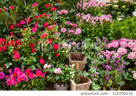 Colorful blooming flowers in pots at outdoor garden shop or market display 128700216