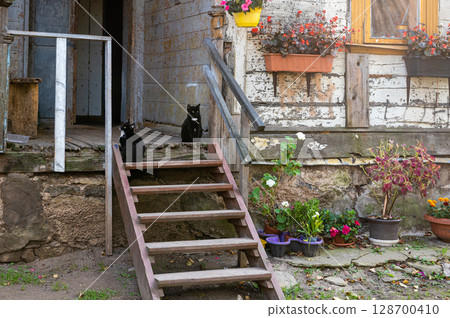 Two cats sit on wooden steps at the entrance of an ancient building with an open wooden door. 128700410