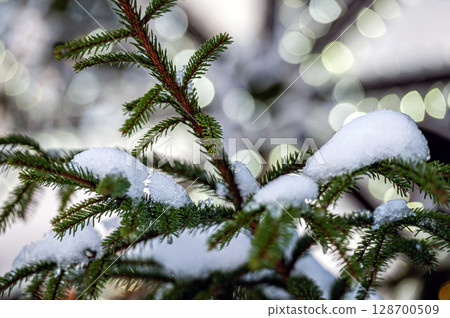 Snowy decorated Christmas tree branch with Christmas lights, Shallow depth of field Snowy decorated Christmas tree branch with Christmas lights, Shallow depth of field 128700509