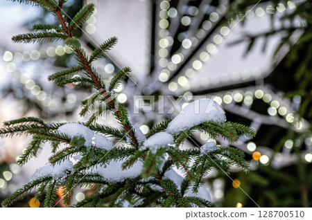 Snowy decorated Christmas tree branch with Christmas lights, Shallow depth of field Snowy decorated Christmas tree branch with Christmas lights, Shallow depth of field 128700510